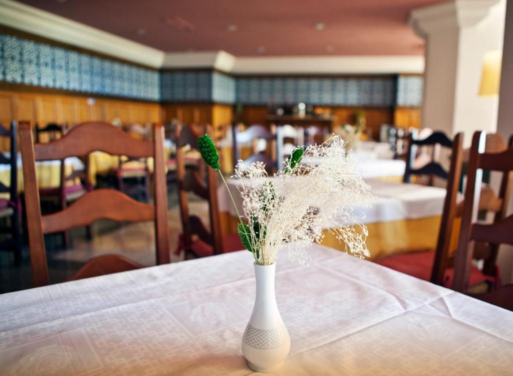 Hotel Apartamentos Trevenque シエラネバダ エクステリア 写真